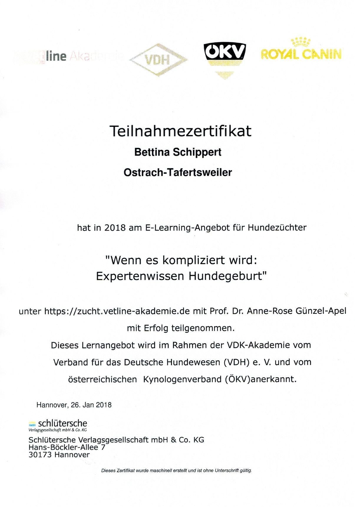 Teilnahmezertifikat Bettina Schippert — Vetline Akademie